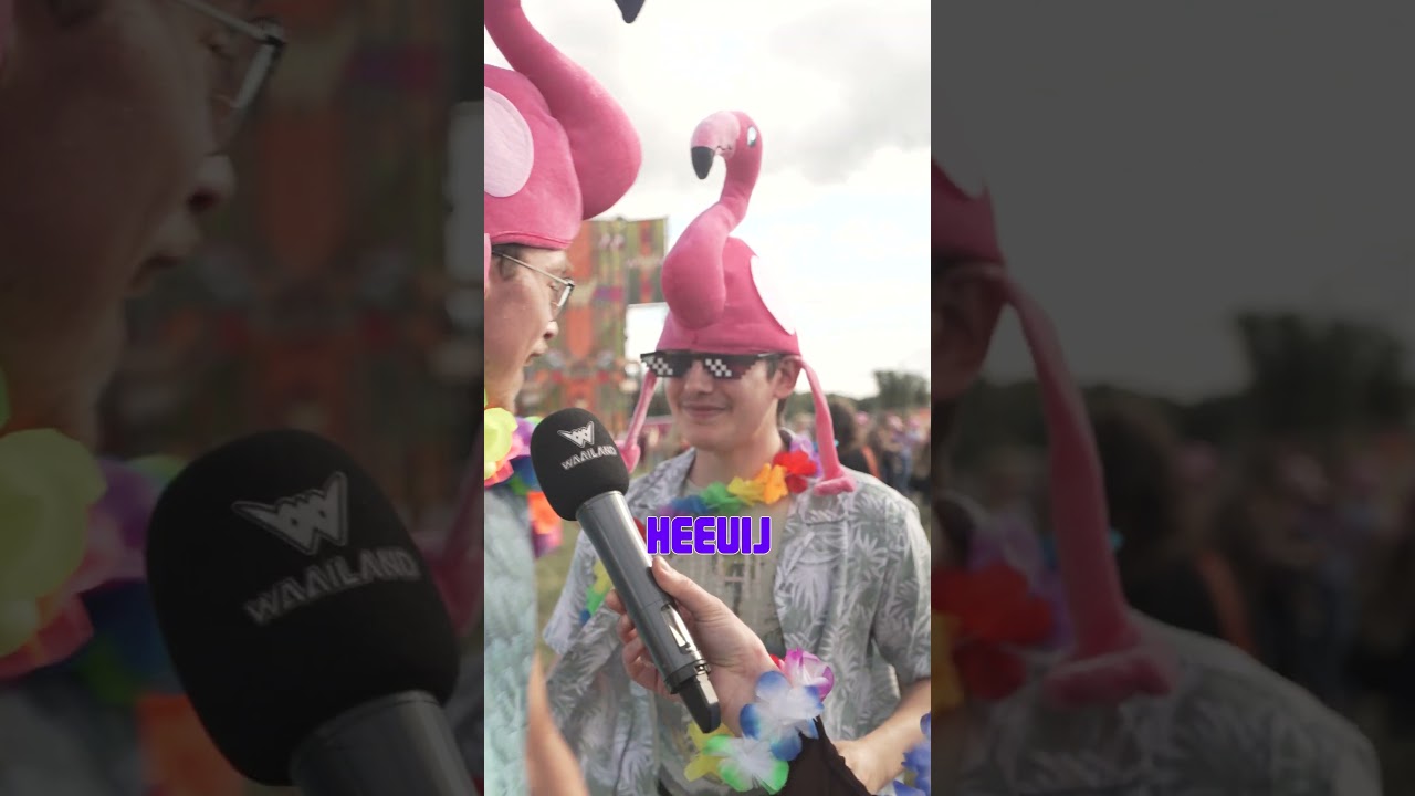 Waailand edit flamingo