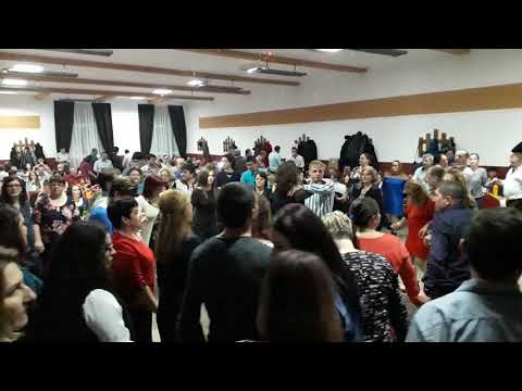 Balul insuratilor- Copacel