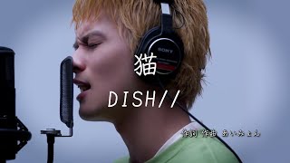 Download lagu 猫 - DISH// ｜ 歌詞あり mp3