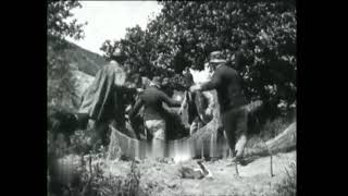 Le Braconnier (1906) The Poacher (Pathé)