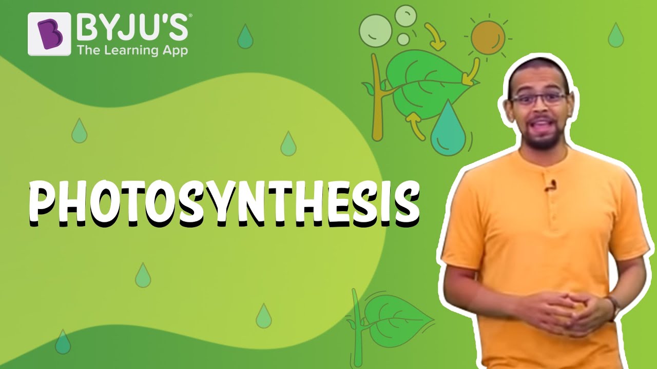 Photosynthesis- How Plants Make Food | Learn with BYJU'S