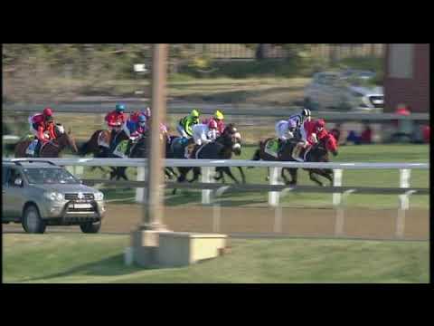 20200725 Hollywoodbets Greyville express clip Race 6 won by NOURBESE