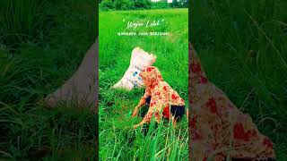 Download lagu Viral Gadis Cantik Nyebur ke Sawah #viralvideo #fyp #sawah mp3