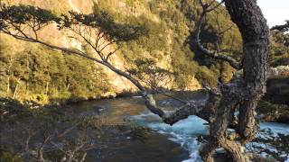 CONTRA VIENTO Y MAREA ---   CHAYANNE
