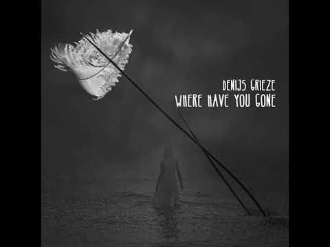 Denijs Grieze - Where Have You Gone (Official Audio)