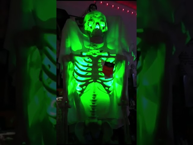 Vídeo relacionado con FIESTAS GUIRCA | Set Huesos Esqueleto 4 Piezas - Decoración de Halloween para Fiestas y Celebraciones - Ideal para Ambientes Terroríficos y Escenarios de Miedo - Calaveras y Esqueletos - Blanco