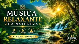 Música Relaxante Com o Som da Natureza