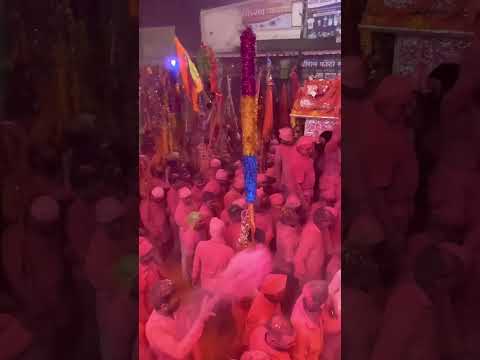 Rashin jagdamba temple dashera #reel #religion #reelsindia #marathimusic #dance a#navratri #rashin