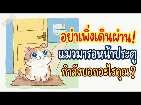 คลิกเพื่อดูคลิปวิดีโอ