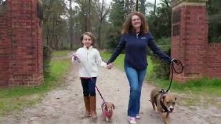 Dog Gone Fun Video. Aiken, SC…LOW TAXES, GREAT HOME PRICES &  A PET FRIENDLY COMMUNITY!