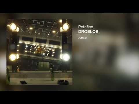 Video thumbnail for Petrified