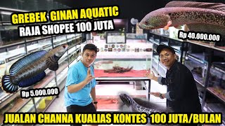 Download lagu SUDDEN ATTACK ! 40 MILLIONS BARCA CHANNA @Ginan Aquatic YOGYAKARTA CITY mp3