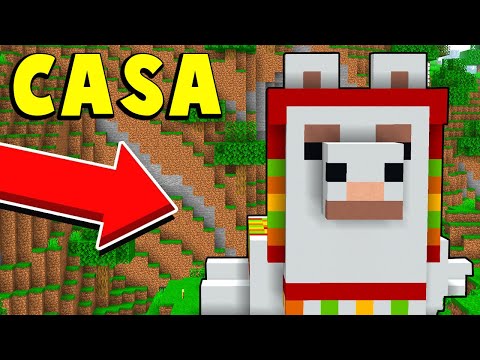 LA NUOVA CASA DEL LAMA - Minecraft ITA