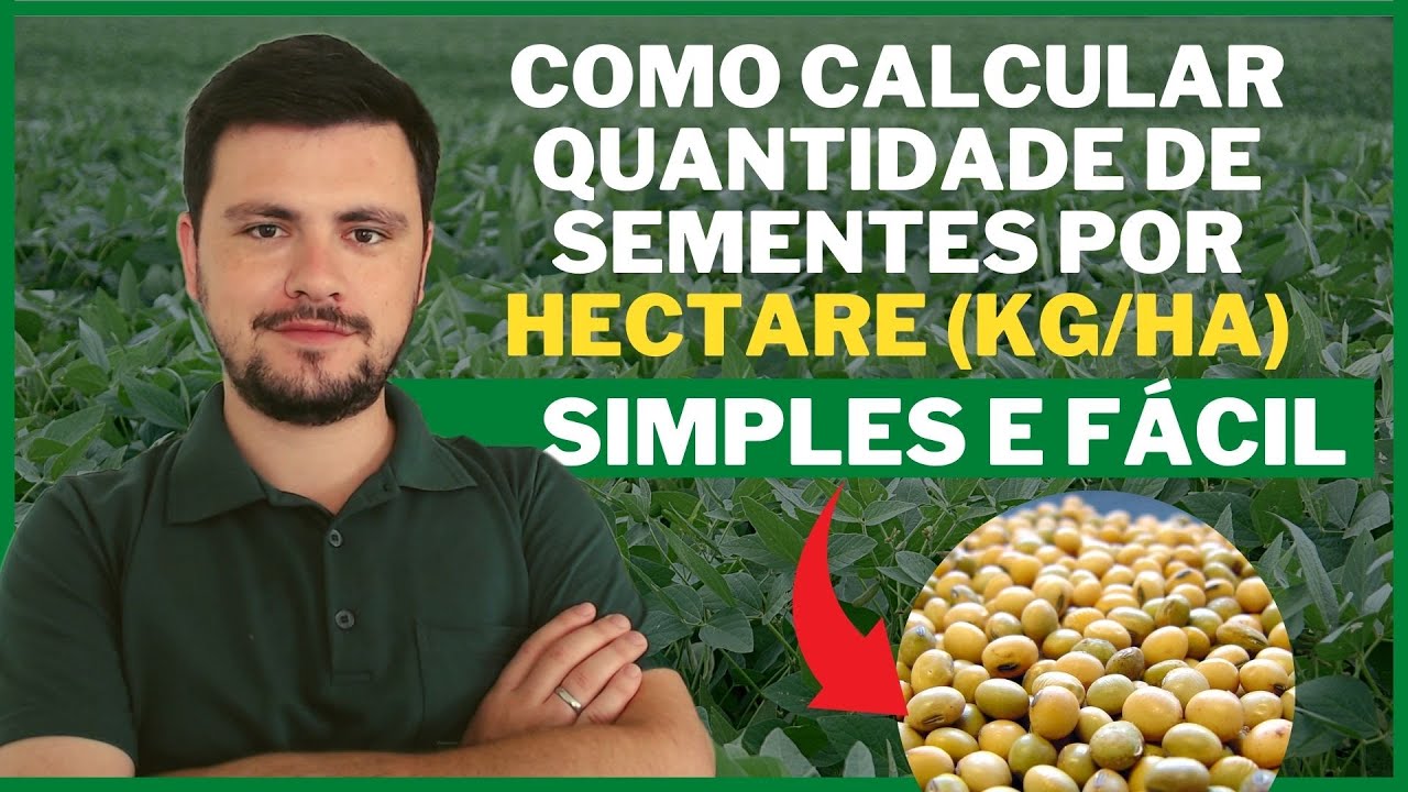 Como encontrar a QUANTIDADE DE SEMENTES em Kg/ha (Simples e Prático)
