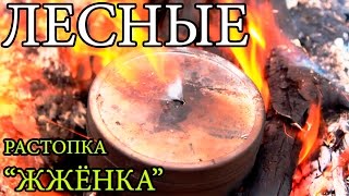Идеальная растопка для костра -