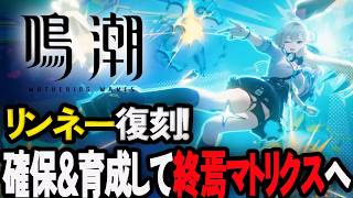 リンネーをようやく確保できる！育成して色々やる【鳴潮/WuthringWaves】