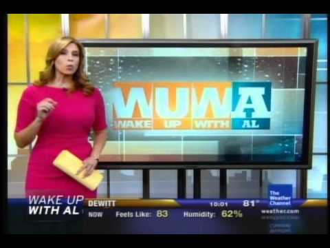 Moby - "Flying Foxes"