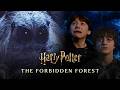 Can We Panic Now Best Forbidden Forest Moments