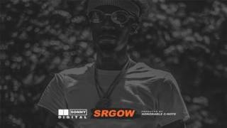Sonny Digital - SRGOW [Prod. By Honorable C-Note]