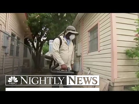 Insecticides For Zika Mosquitoes Not Working as Hoped, Officials Say | NBC Nightly News