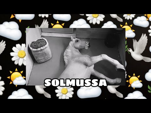 Schleich elokuva: Solmussa #1