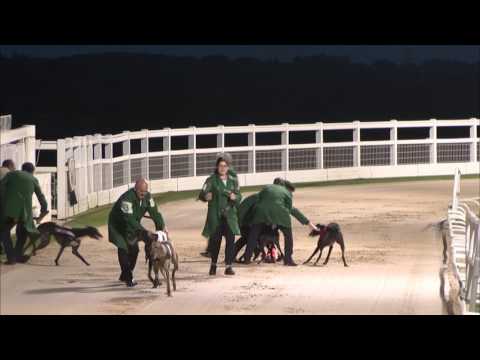 2017 STAR SPORTS DERBY - ROUND 1 HEAT 9 - MINGLERS TOURE