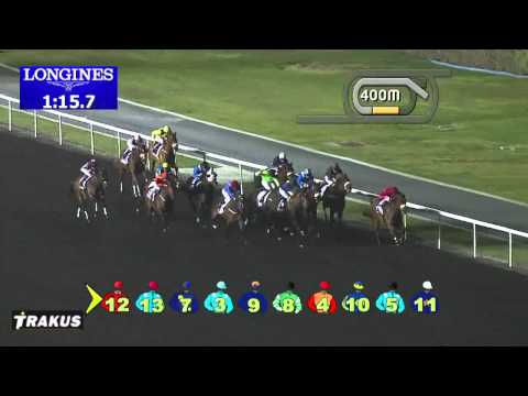 01.02.2014 Meydan (Dubai-UAE) 6.Race Mohammed Al Naboodah Group Trophy - Handicap 1.600 m