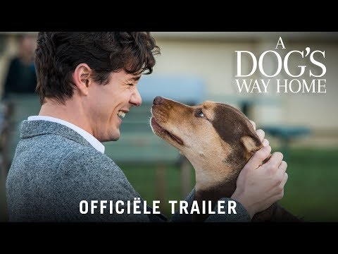 A Dog's Way Home - HD trailer