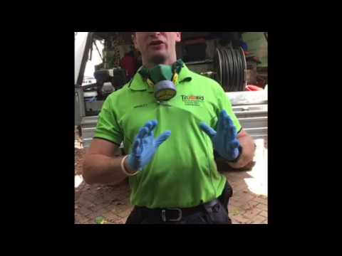 How to Do a General Pest Control Treatment - DIY in Australia