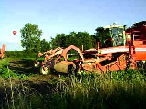 Van Bruwaene R - Egem