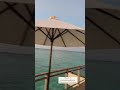 Cheers Sukriti Kakar Prakriti Kakar Akriti Kakar
