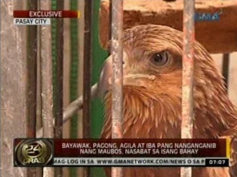 Panalangin sa gabi para sa pagbaba ng timbang mga review Kung paano mawalan ng timbang kapag buwanang