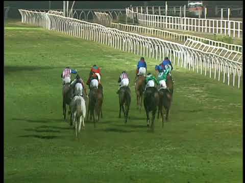 Galoppo 04/01/2018 - 6ª corsa