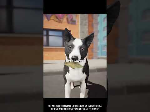 👀 Il échangeait des feuilles contre de la nourriture…