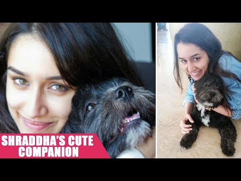 #CelebPetstagram: Is Shraddha Kapoor's dog, the best in the world?