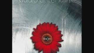 AUDIO ADRENALINE  /  I'm not the king