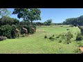 Disney Safari Animal Kingdom
