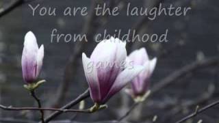 Dreams On Fire lyrics