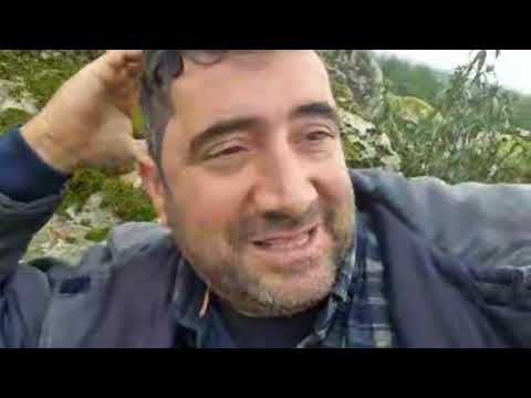 a ver si no me cortan el directo