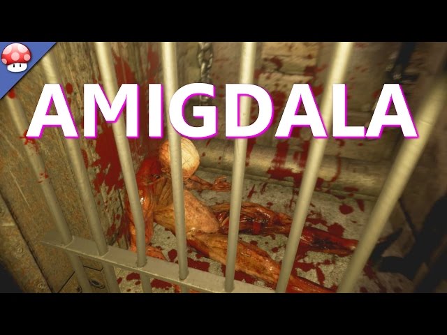 Amigdala