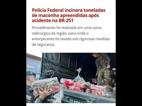 🚨 URGENTE! Notícias de última hora: PF incinera 2 toneladas de maconha apreendidas