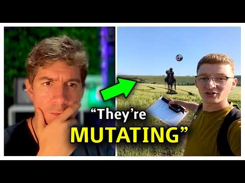 The “Alien Spheres” Situation Just Got Crazier