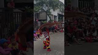 Download lagu Reog Ponorogo cilik ban wan #reog #reogponorogo #savereogponorogo #ganongan mp3
