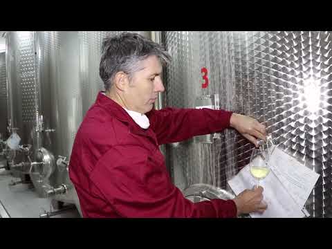 Proizvodnja vina - Oprema i higijena u proizvodnji vina (1.deo)