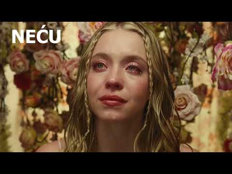 Zicer inc. - Žad (tam x letnje smrti) (lyrics)