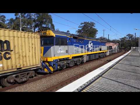 CF4412 Black Caviar & CF4411 with Crawfords 4190 - 1/7/18