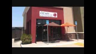 preview picture of video 'Cal Eats: Newark Fresh Mexican Grill 94560'