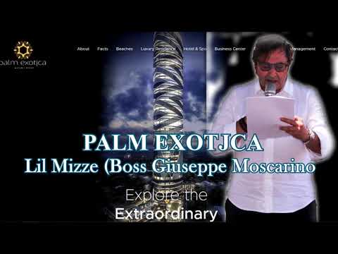 PALM EXOTJCA PROJECT - LIL MIZZE