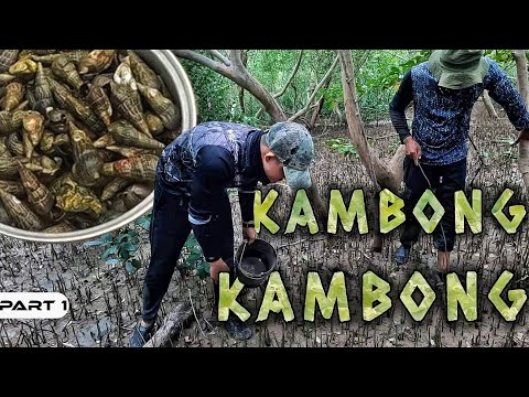 EP897-P1 - Kambong Kambong Forage and Cook