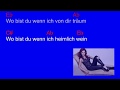 Andrea Berg -  Du hast mich 1000 mal belogen  (Chords and Lyrics)